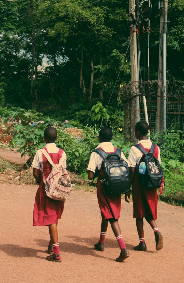 Meilleur organisme d'école à la maison : notre sélection fiable